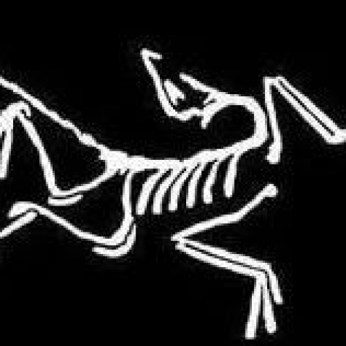 全球最牛10大运动品牌,认一半你就是户外专家