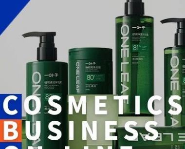 瞄准中国功能型洗护第一品牌,一叶子洗护开启新征程