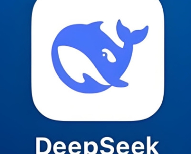 一份来自Deep Seek的简介!