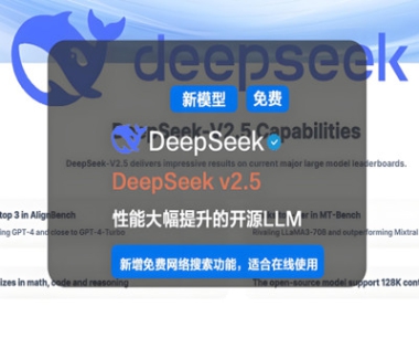 DeepSeek 简介