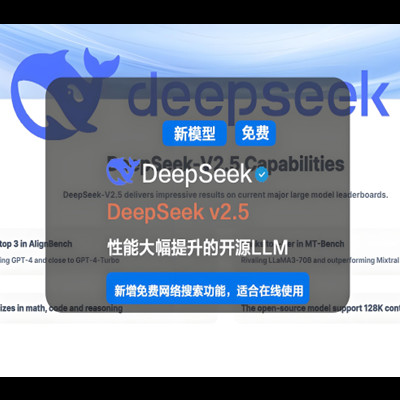 DeepSeek 简介