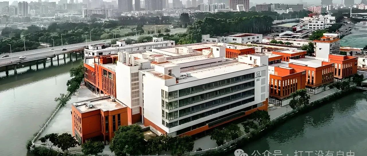 每日一家公司职场内幕——树根互联（广州）