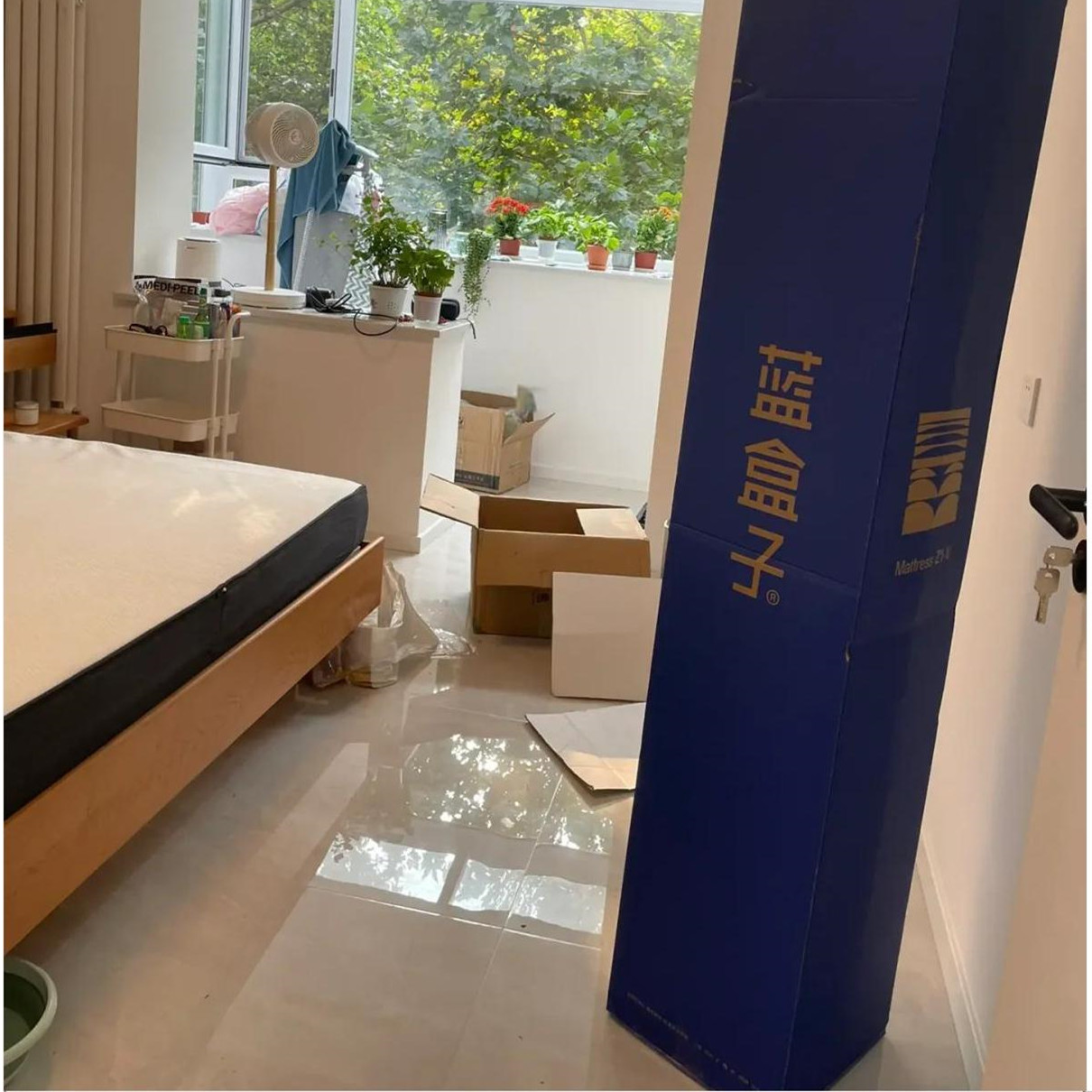 两个年轻人创业，造出赛道黑马，靠“不犯错”的产品年销10亿